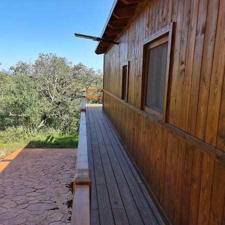 Вілла La Casa De Madera Ла-Пуебла-де-лос-Інфантес Екстер'єр фото
